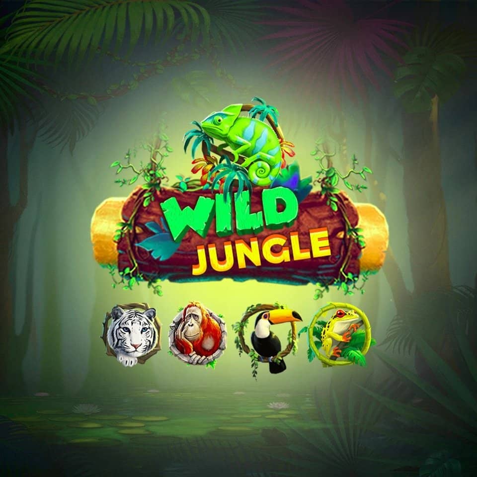 Jogo 3500