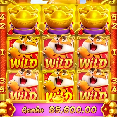 Cats jogo