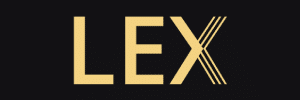Silver x blaze